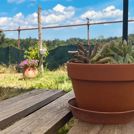 Cascina Il Girasole Rosso Cortazzone