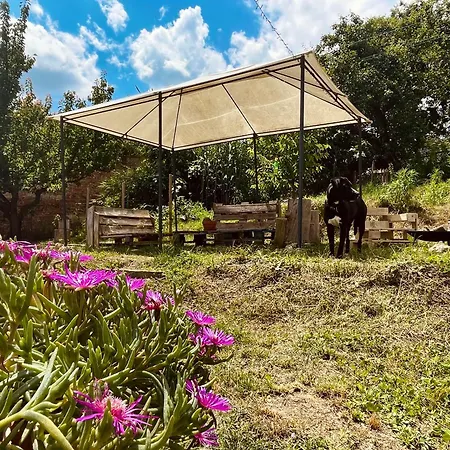 Cascina Il Girasole Rosso Apartman Cortazzone
