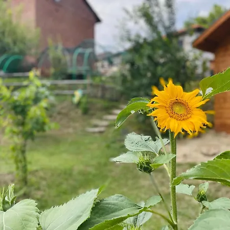 Cascina Il Girasole Rosso Cortazzone