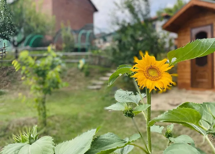 Cascina Il Girasole Rosso Cortazzone